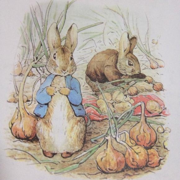 小兔本杰明简笔画图片