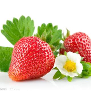 睡前轻松胎教故事－甜甜的草莓