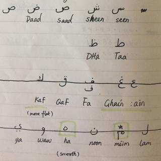 苏阿黛阿语第三课--十一个阿语字母及字母分类