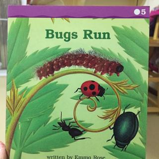 5 Bugs run