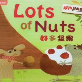 绘本Lots of nuts