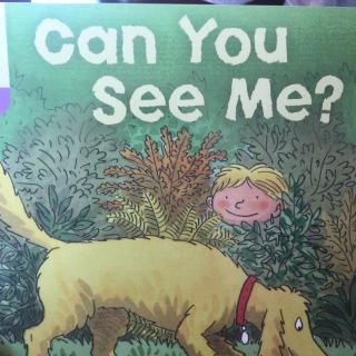 Can you see me?