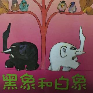 卓娅语言艺术工作室绘本故事——《黑象和白象🐘》