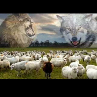 两群羊的选择(此生必读)
