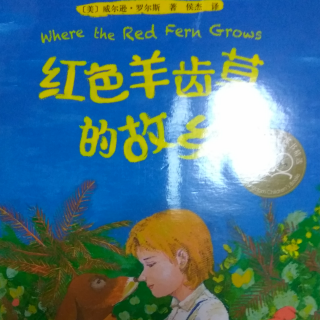 红色羊齿草的故乡1