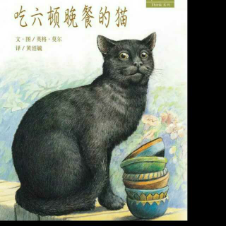 ☆吃六顿晚餐的猫