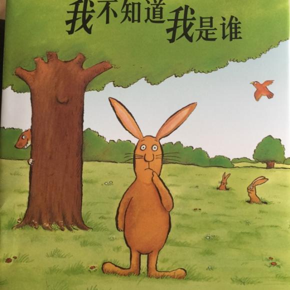 我不知道我是谁