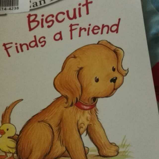 Biscuut Finds a Friend