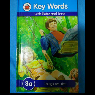 Key Words（3a Things we like）