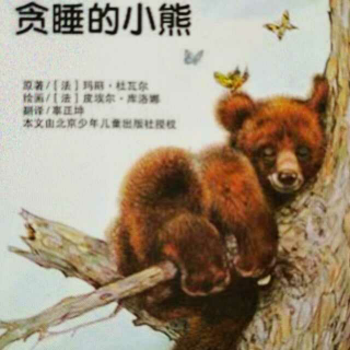 恩育堂紫梅老师绘本分享《贪睡的小熊》