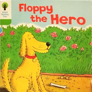 2-17 Floppy the hero