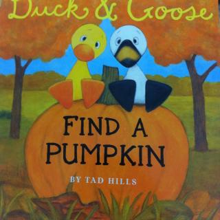 duck&goose Find a pumpkin