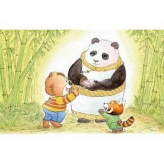 大熊猫和小熊猫的故事