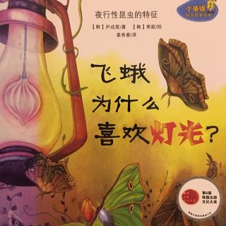 【绘本故事222】--《飞蛾为什么喜欢灯光？》