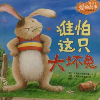 谁怕这只大坏兔🐰