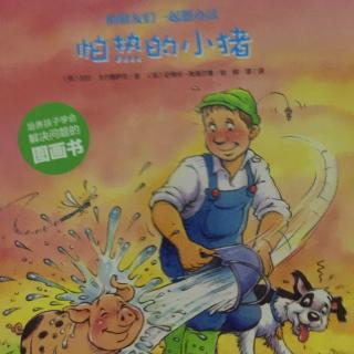 95.怕热的小猪