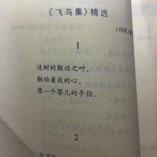 飞鸟集精选