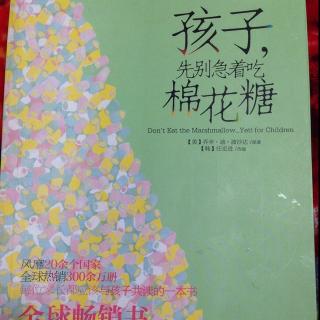 孩子，先别急着吃棉花糖—前言