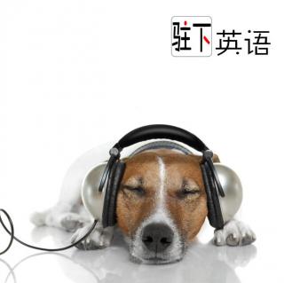 驻下复习 I like music (2)