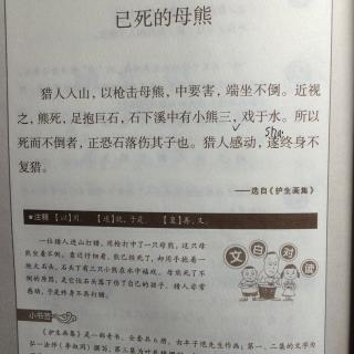 【已死的母熊】在线收听_shawn和妈妈读dk_荔枝