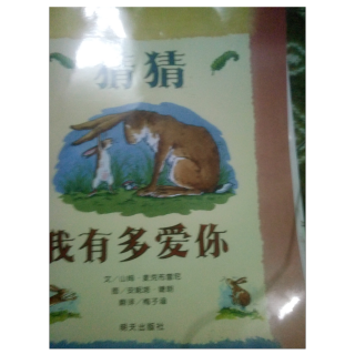 绘本故事~猜猜我有多爱你