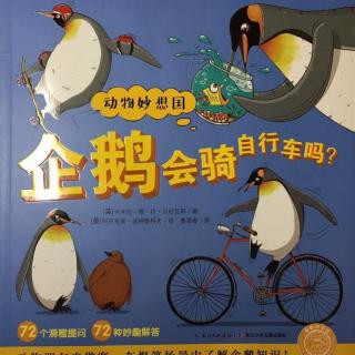 【小窝头时间】企鹅会骑自行车吗？