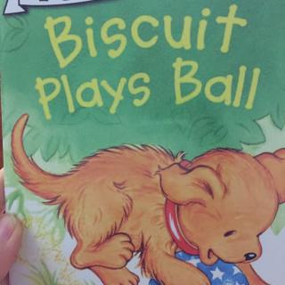 Biscuit  plays ball