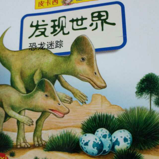 皮卡西随身绘本发现世界知之《恐龙迷踪》