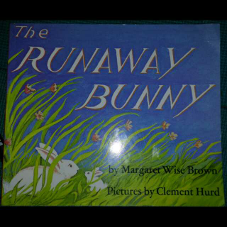 The RUNAWAY BUNNY