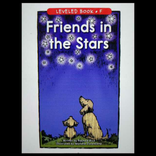 Friends in the Stars 星空中的朋友