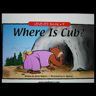 Where  is  Cub?小熊在哪儿？