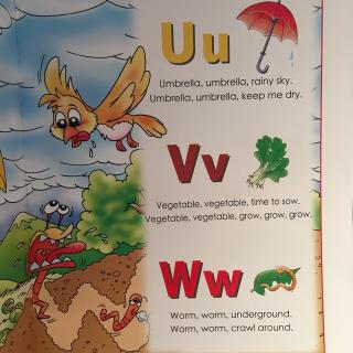 U8  uvw