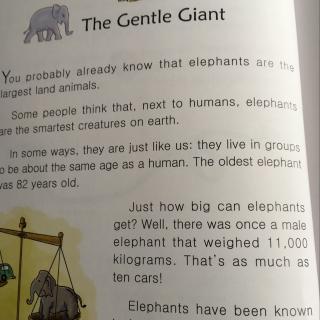 The Gentle Giant