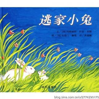 逃家小兔— 故事妈妈谢芳为你读 · 第637期