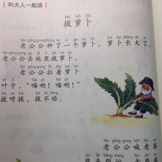 拔萝卜