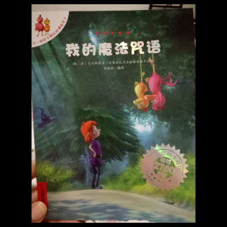 我的魔法咒语