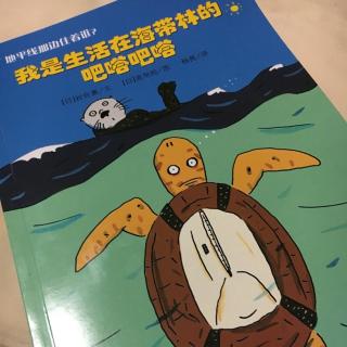 我是生活在海带林的吧嗒吧嗒（六）