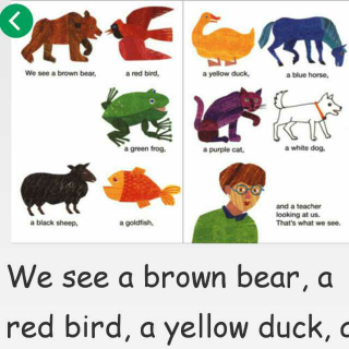 Brown bear ~what do you see