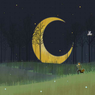 金话筒睡前故事《夜晚，在森林里》