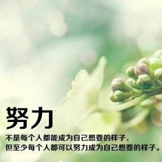 努力让自己变得更好