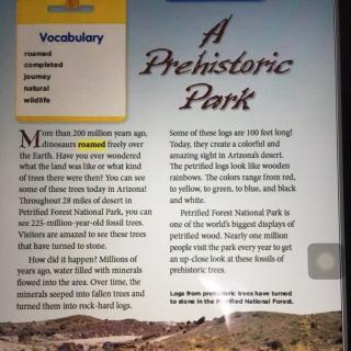 A prehistoric park