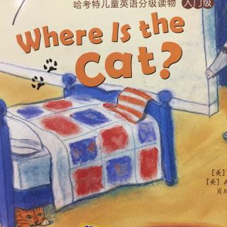 where is the cat