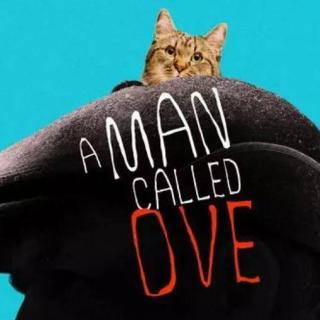 陪你读书外教陪读：A Man called ove4