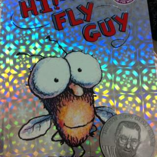 hi！fly guy