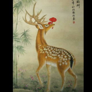 聪明的鹿——《中国老故事》