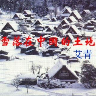 紫芸樱《雪落在中国的土地上》-艾青