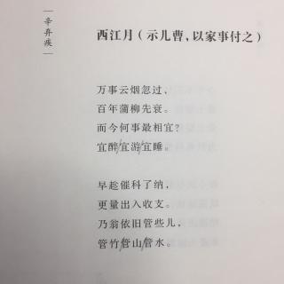 西江月（示儿曹，以家事付之）