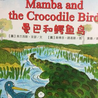 Mamba and the Crocodile Bird