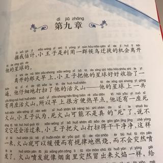 《小王子》第九章