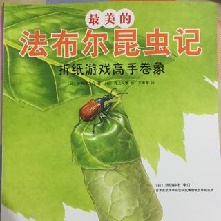 法布尔昆虫记——折纸游戏高手卷象